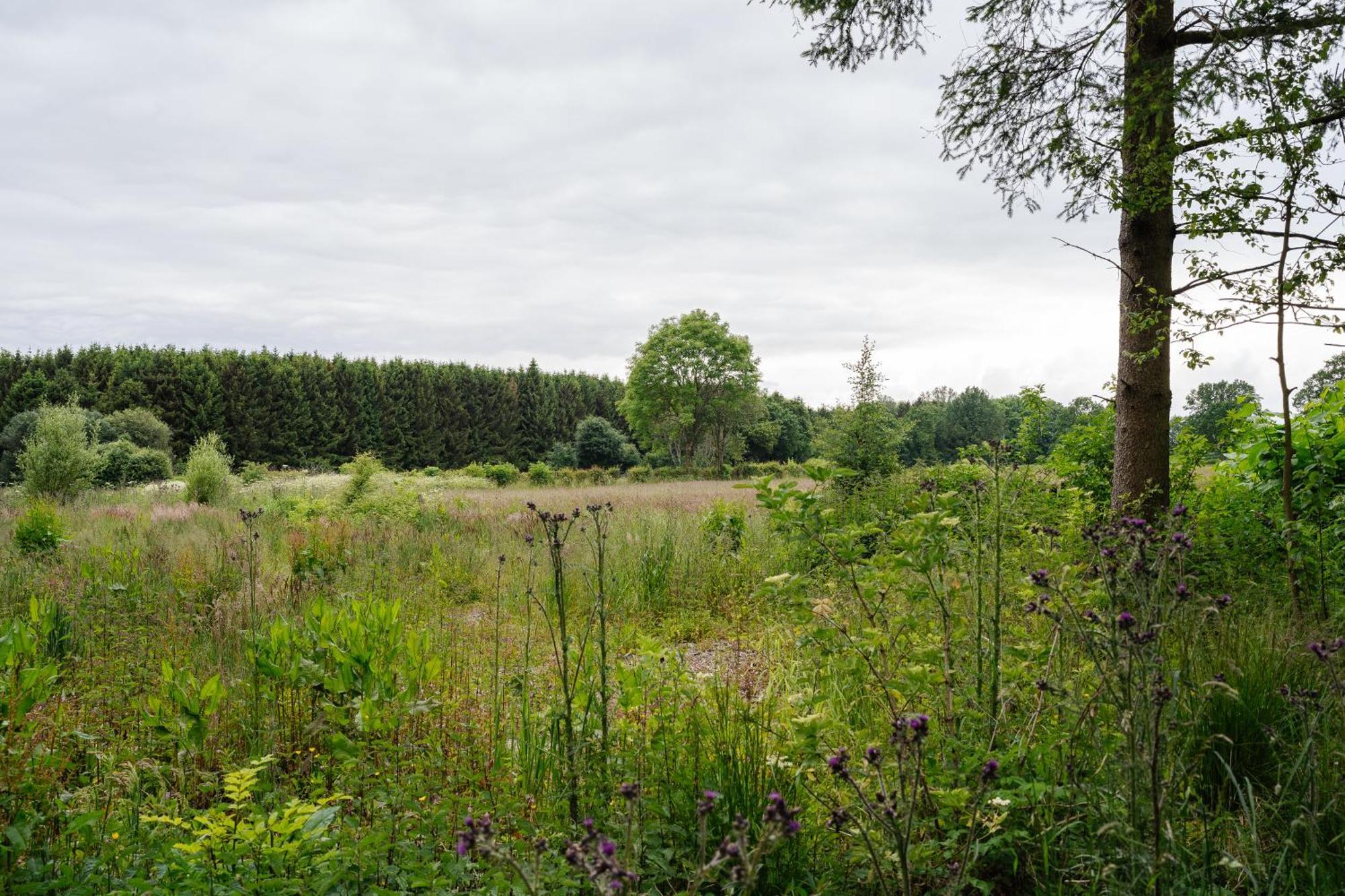 Hotel Steineweiher St. Vith Eksteriør billede