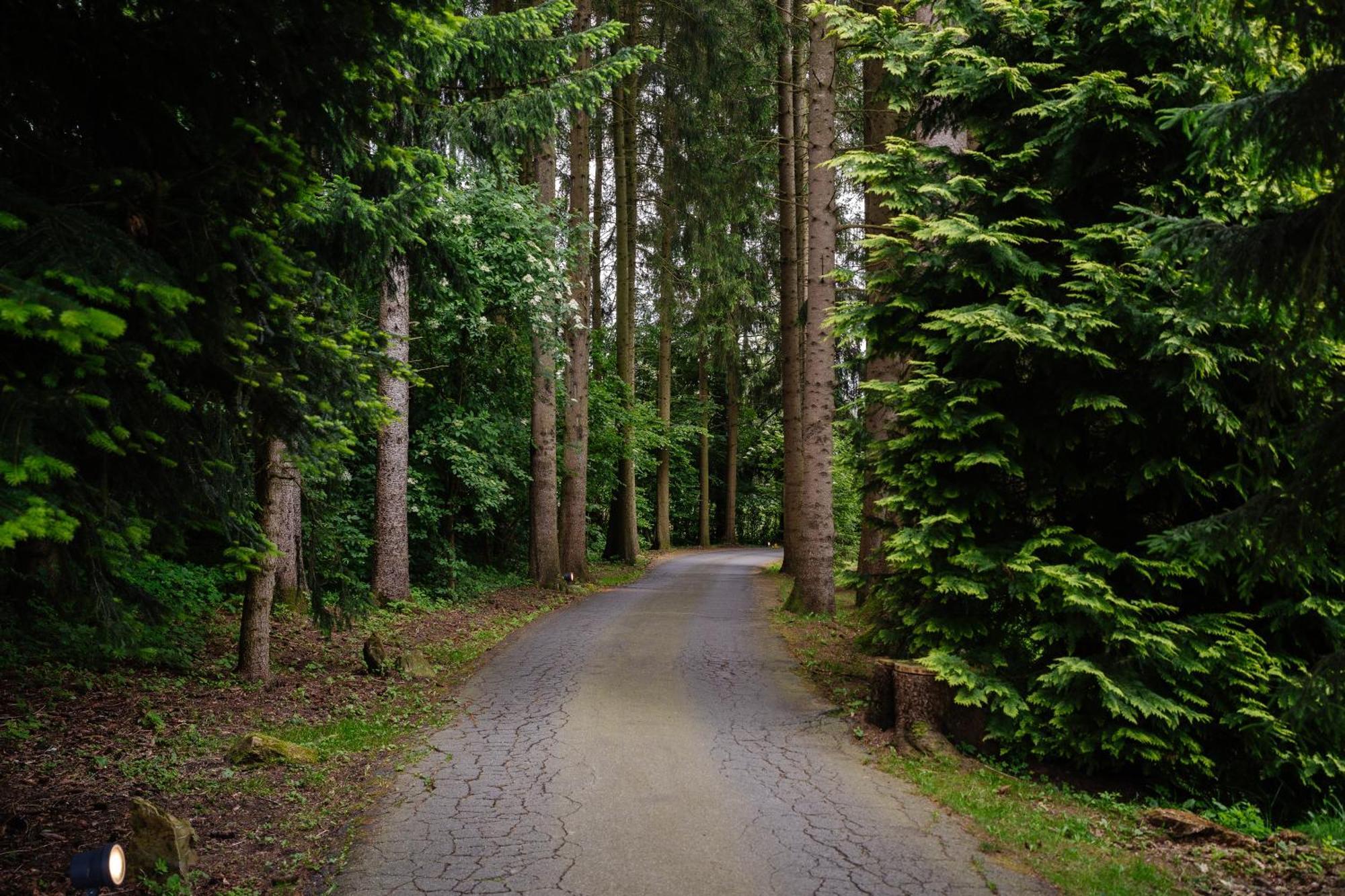 Hotel Steineweiher St. Vith Eksteriør billede